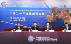 中海油2021即将开工的项目规划？中海油 海外项目