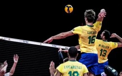 巴西著名的体育运动项目是（　　）A．篮球B．排球C．羽毛球D．足？巴西  项目