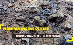 贵州发现7000万吨锰矿在松桃县那里？贵州锰矿项目