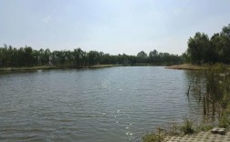 安丘水库钓鱼资源最好的是哪个？青龙湖项目 中粮地产