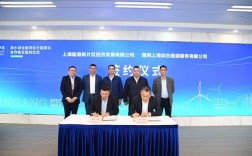 上海微电子都有哪些公司合作？保利集团电力项目