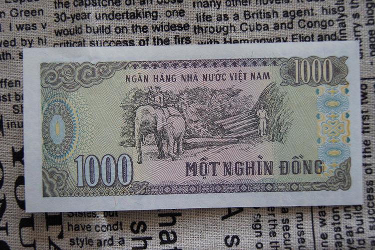 越南的货币叫什么？越南币叫什么-图3