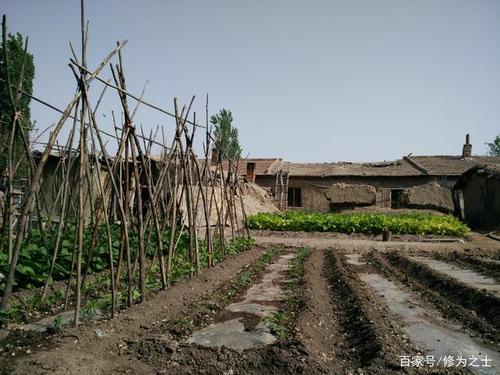 家有空房在农村，可以发展什么种植和养殖业？农村主营项目-图2
