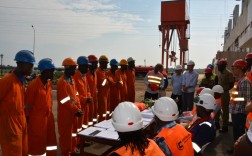 中国海油国际有限公司是什么企业？中海油乌干达项目