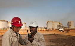 中石油南苏丹项目安全吗？国内公投项目