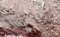 红龙血和龙血砂是同一种泥料吗？巨石集团树脂项目