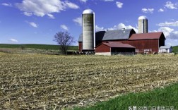 美国农业补贴每亩补贴多少？小麦供种项目实施
