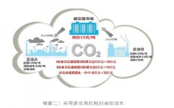 国内哪些企业可以参与国际碳交易？tco项目