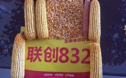联创832玉米品种介绍？东北 127项目