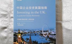 英国在中国投资的企业？哪家公司有投资项目