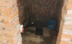 农村为什么会改造厕所？再改项目