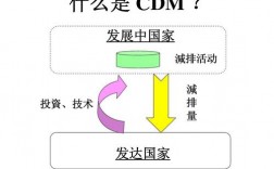 CDM项目是什么项目？cdm项目  中国