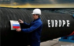 开发俄罗斯远东地区的企业有哪些？远东供气项目