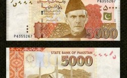 人民币在巴基斯坦可以使用吗？巴铁项目审批
