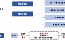 ccer项目重启覆盖哪些项目？中国ccer项目现状